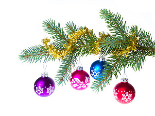 Image showing christmas balls on spruce branch