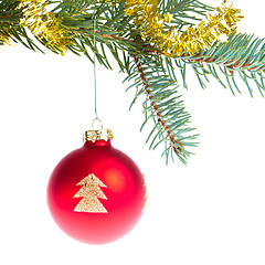 Image showing red christmas ball on branch