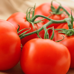 Image showing tomatoe