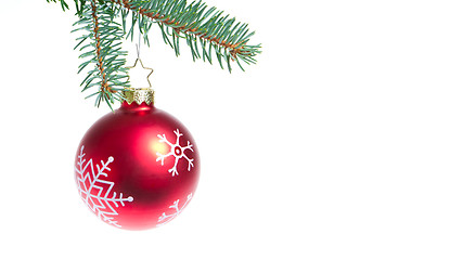 Image showing ball hanging from spruce christmas tree