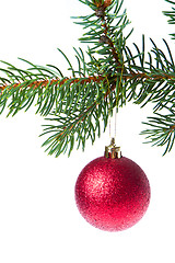 Image showing christmas ball on branch