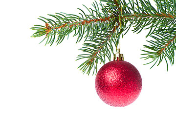 Image showing christmas ball on branch