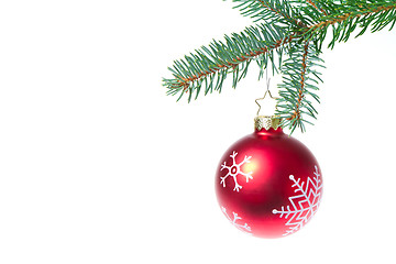 Image showing ball hanging from spruce christmas tree