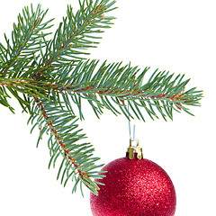 Image showing red christmas ball hanging from tree