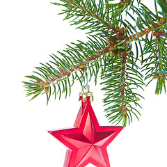 Image showing red christmas star hanging from tree