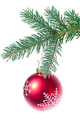 Image showing ball hanging from spruce christmas tree