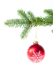 Image showing red christmas ball on branch