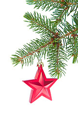 Image showing red christmas star hanging from tree