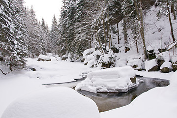 Image showing frozen stream