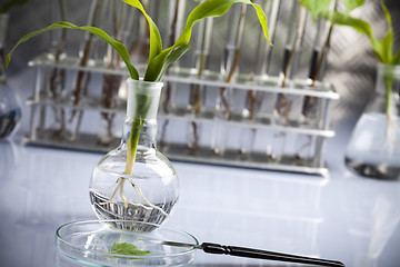 Image showing Plant laboratory