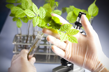 Image showing Plant laboratory