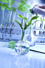 Image showing Plants and laboratory 