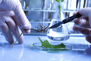 Image showing Eco laboratory 