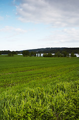 Image showing Field