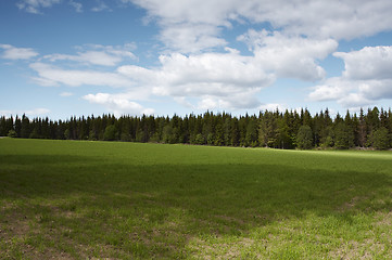 Image showing Field