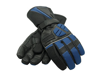 Image showing Gloves