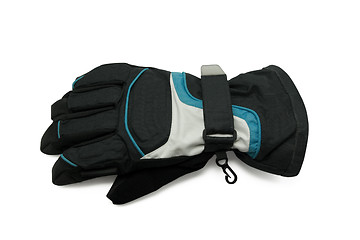 Image showing Ski glove