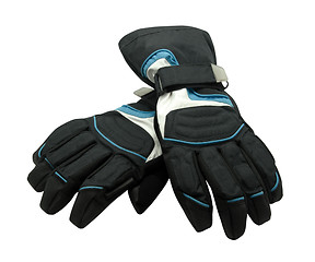 Image showing Pair of ski gloves