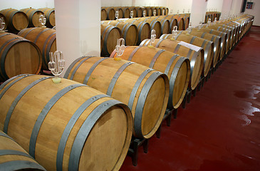 Image showing Winery barrels