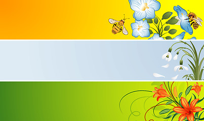 Image showing Flower banner