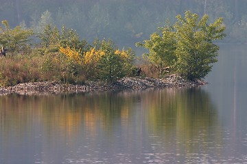 Image showing Lake Haubach in spring