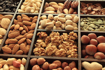 Image showing Nuts