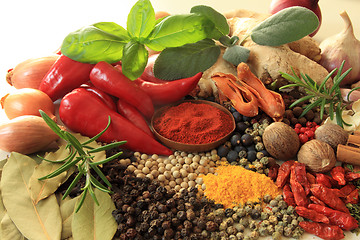 Image showing Spices and herbs