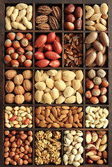 Image showing Nut types