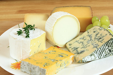 Image showing Cheese types