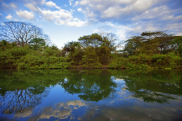 Image showing Nature in Guanacaste