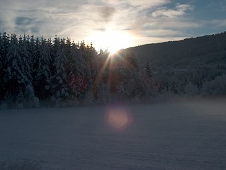 Image showing Winter sun