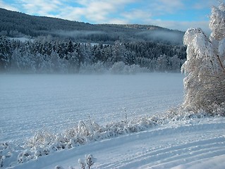 Image showing Winter fields