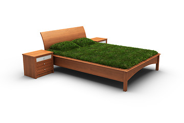 Image showing bed designed as an herbal