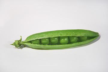 Image showing Pea pod