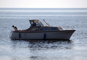 Image showing Boat and dog