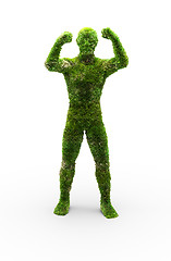 Image showing Herbal man made in