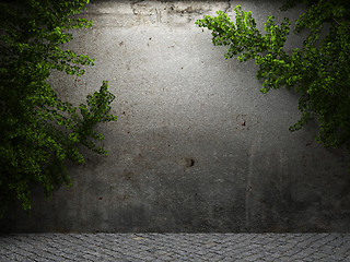 Image showing old concrete wall and plant