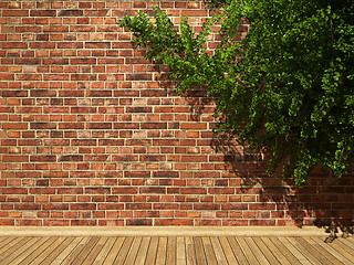 Image showing illuminated brick wall and ivy