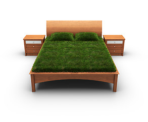 Image showing bed designed as an herbal