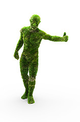 Image showing Herbal man made in