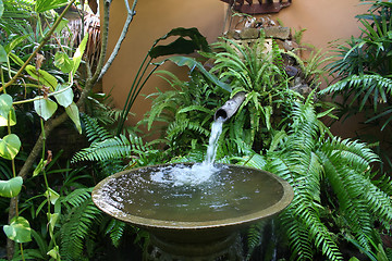Image showing Tropical fountain