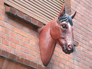 Image showing wall mounted horse head