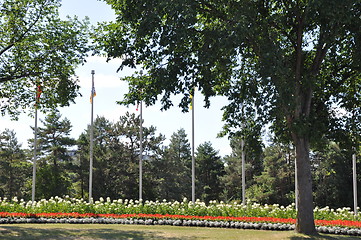 Image showing Streetside in Ottawa