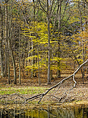 Image showing Fall Along the River, Michigan, USA. Incredible detail at 100 percent. (high resolution, 14MP camera)