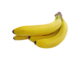 Image showing bananas