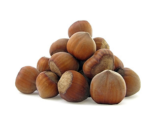 Image showing hazel nuts    