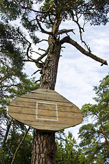 Image showing Basketball board without hoop attached to tree.