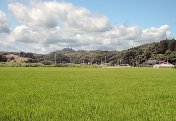 Image showing Rural Japanese landscape