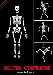 Image showing Skeleton constructor