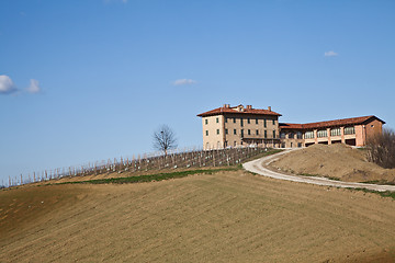 Image showing Italian villa with vineyard: spring season